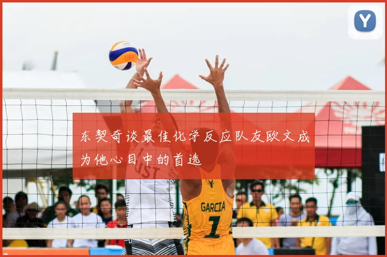 东契奇谈最佳化学反应队友欧文成为他心目中的首选