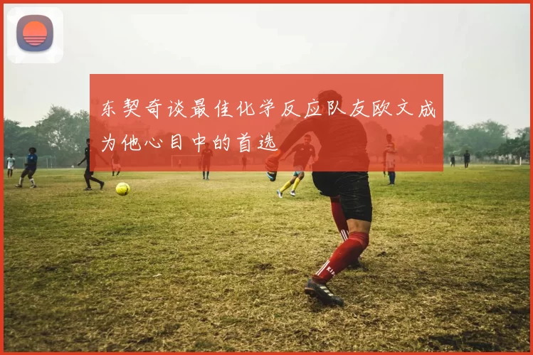 东契奇谈最佳化学反应队友欧文成为他心目中的首选
