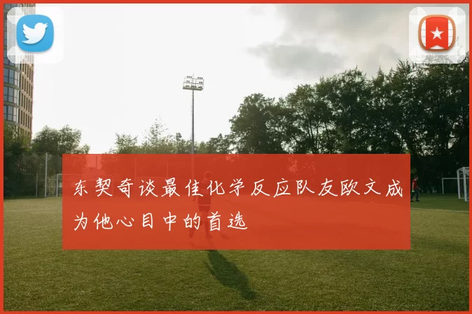 东契奇谈最佳化学反应队友欧文成为他心目中的首选