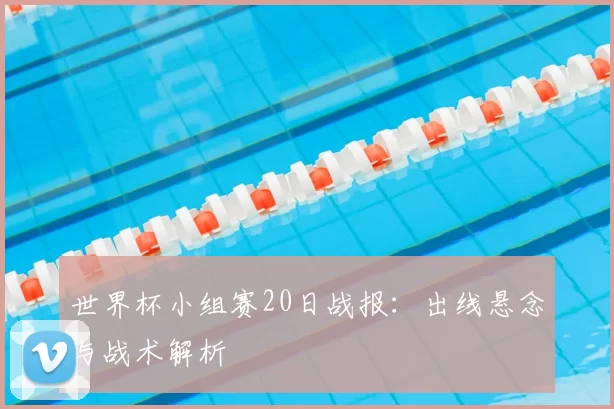 世界杯小组赛20日战报:出线悬念与战术解析