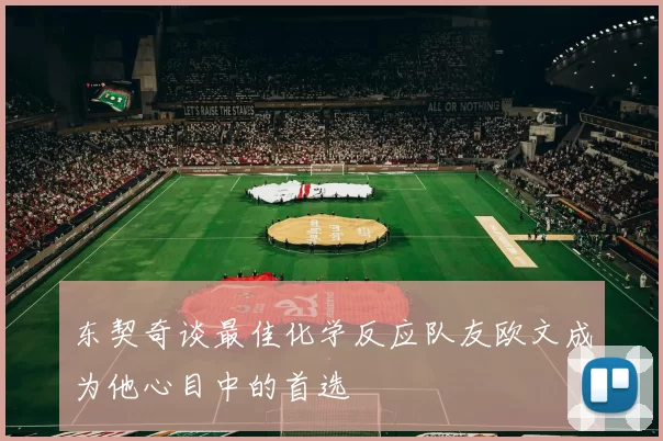 东契奇谈最佳化学反应队友欧文成为他心目中的首选