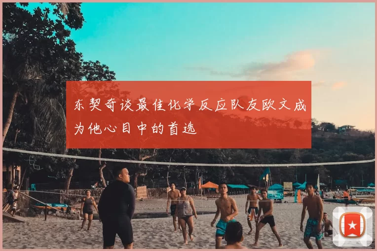 东契奇谈最佳化学反应队友欧文成为他心目中的首选