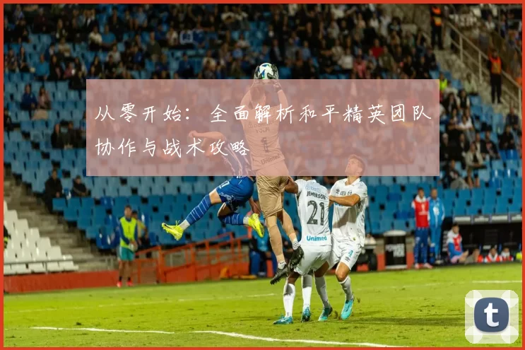 从零开始：全面解析和平精英团队协作与战术攻略