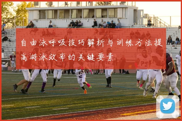 自由泳呼吸技巧解析与训练方法提高游泳效率的关键要素