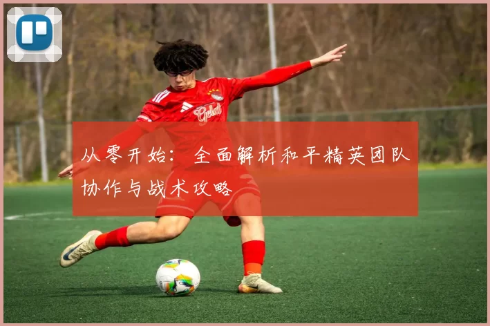 从零开始：全面解析和平精英团队协作与战术攻略
