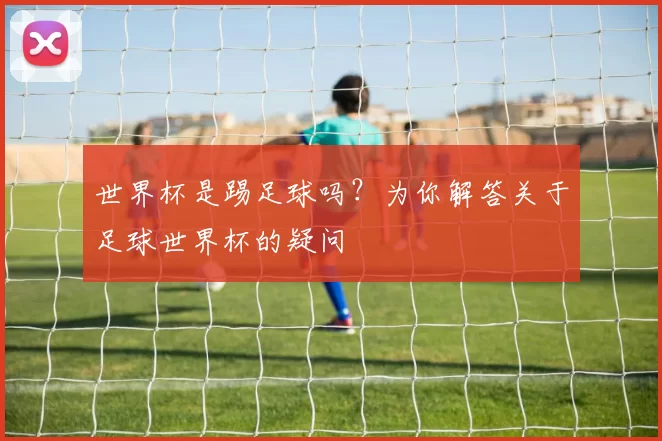 世界杯是踢足球吗?为你解答关于足球世界杯的疑问