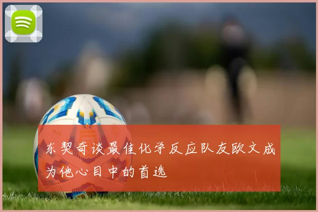 东契奇谈最佳化学反应队友欧文成为他心目中的首选