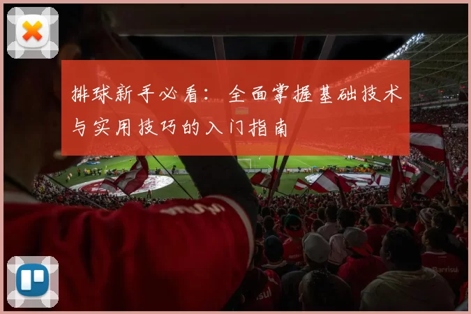 排球新手必看：全面掌握基础技术与实用技巧的入门指南