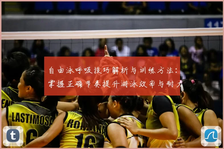 自由泳呼吸技巧解析与训练方法：掌握正确节奏提升游泳效率与耐力