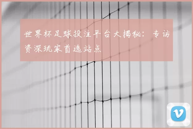 世界杯足球投注平台大揭秘:专访资深玩家首选站点