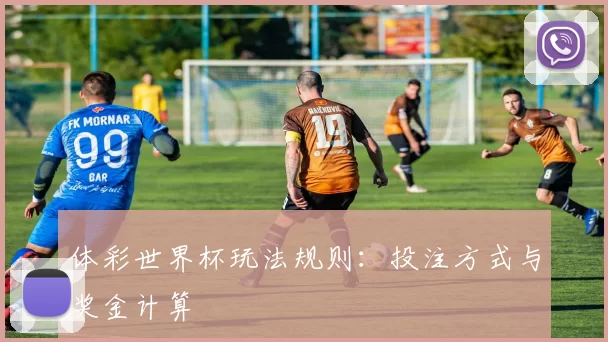体彩世界杯玩法规则：投注方式与奖金计算