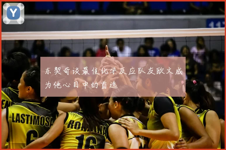 东契奇谈最佳化学反应队友欧文成为他心目中的首选