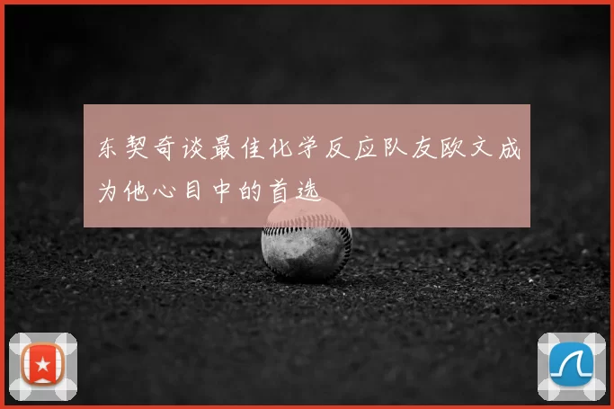 东契奇谈最佳化学反应队友欧文成为他心目中的首选