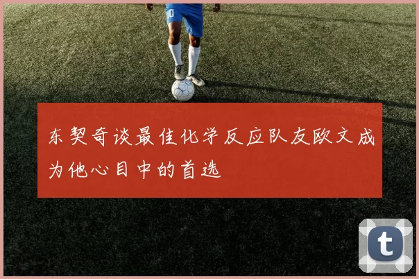 东契奇谈最佳化学反应队友欧文成为他心目中的首选