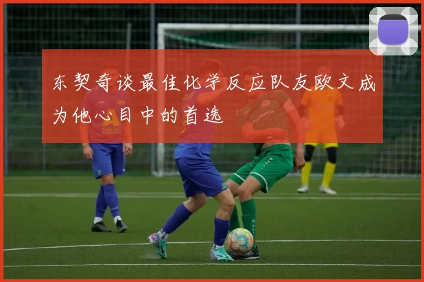 东契奇谈最佳化学反应队友欧文成为他心目中的首选