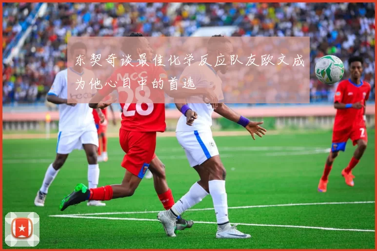 东契奇谈最佳化学反应队友欧文成为他心目中的首选