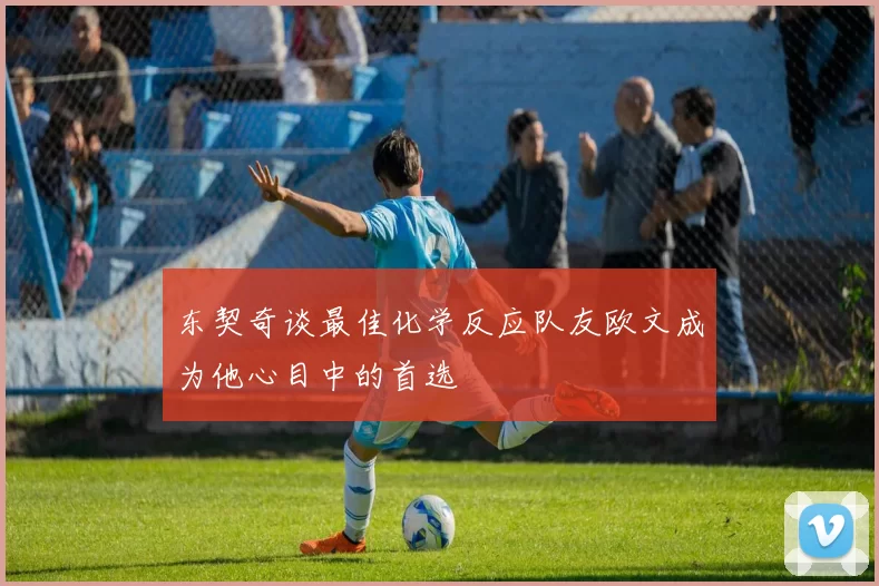 东契奇谈最佳化学反应队友欧文成为他心目中的首选
