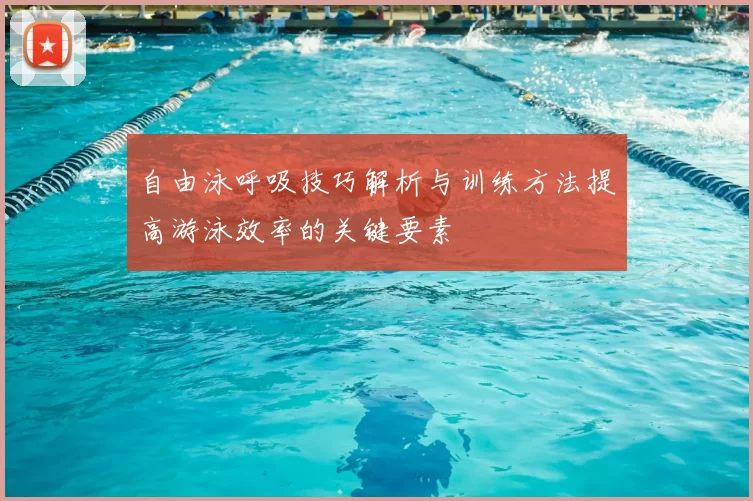 自由泳呼吸技巧解析与训练方法提高游泳效率的关键要素