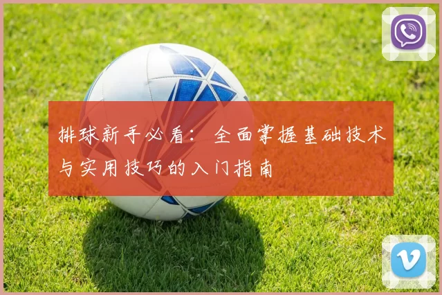 排球新手必看：全面掌握基础技术与实用技巧的入门指南