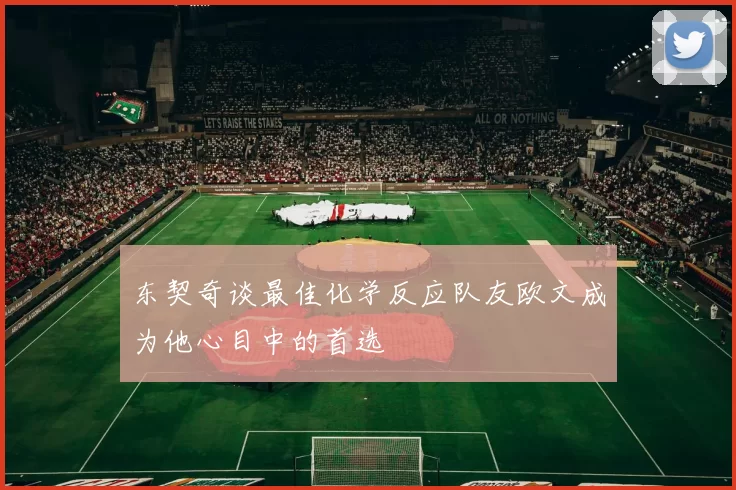 东契奇谈最佳化学反应队友欧文成为他心目中的首选