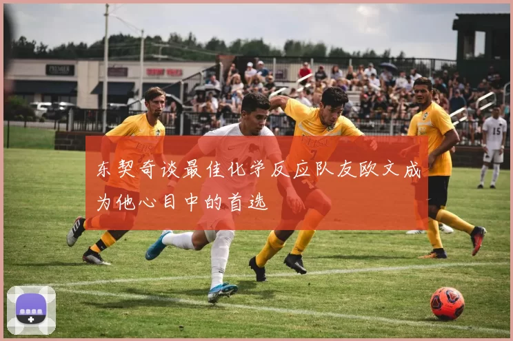 东契奇谈最佳化学反应队友欧文成为他心目中的首选