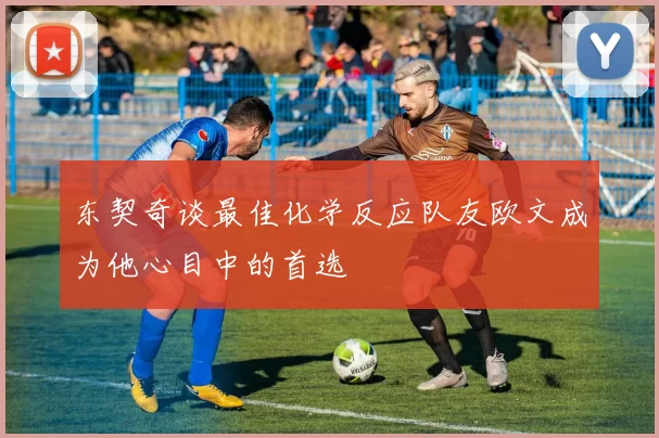 东契奇谈最佳化学反应队友欧文成为他心目中的首选