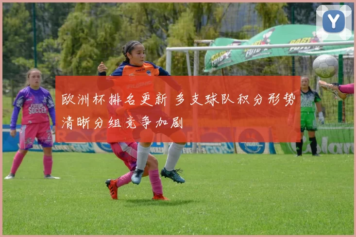 欧洲杯排名更新 多支球队积分形势清晰分组竞争加剧